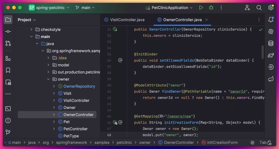 IntelliJ IDEA en acción: una de las mejores IDE para Java programar, mostrando su potente editor y estructura de proyecto.
