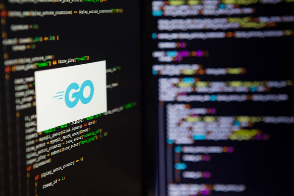 Pantalla con código y el logo de Go, explicando quién es un desarrollador Go y qué hace en proyectos de software.