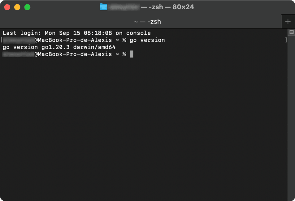 Aprende a verificar la go version en Mac ejecutando un simple comando en la terminal para ver la compilación instalada.